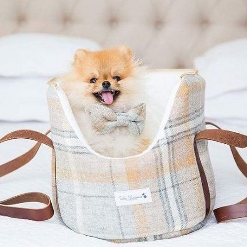 Teddy Maximus UK-made dog accessories