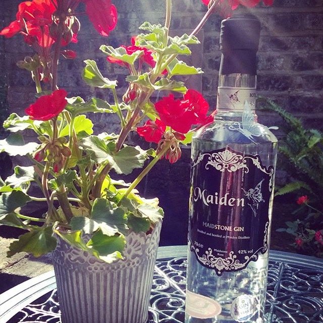 Maiden Gin
