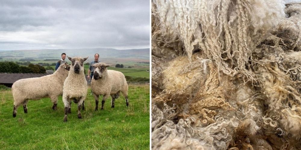 British Wool from Glencroft