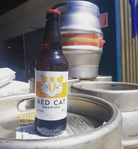 top 10, British beer