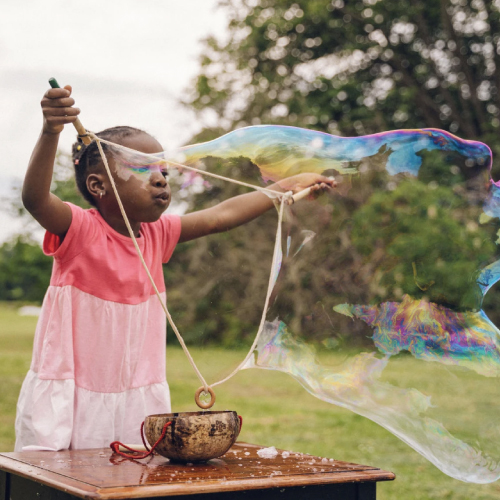 Dr Zigs plastic free coconut bubble kit