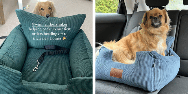 Client success story - Where's Winnie