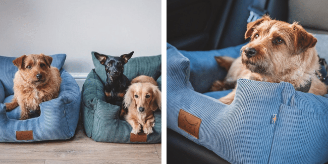 Client success story - Where's Winnie (1)