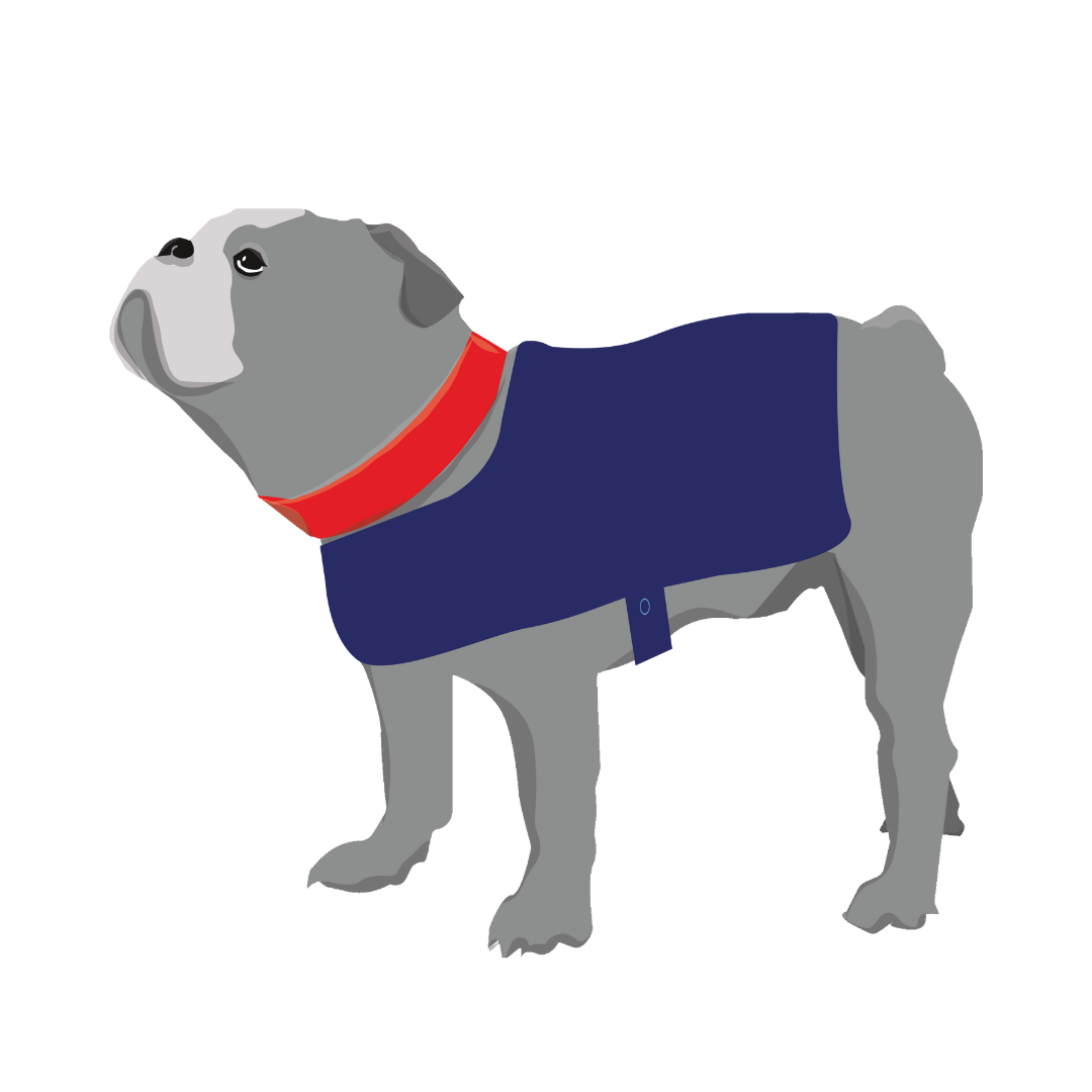 Made in Britain Pet Brands