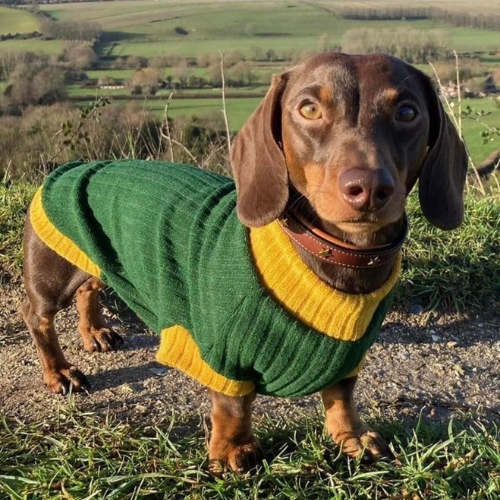 Ruby and Co Dogwear - British-made dogs accessories