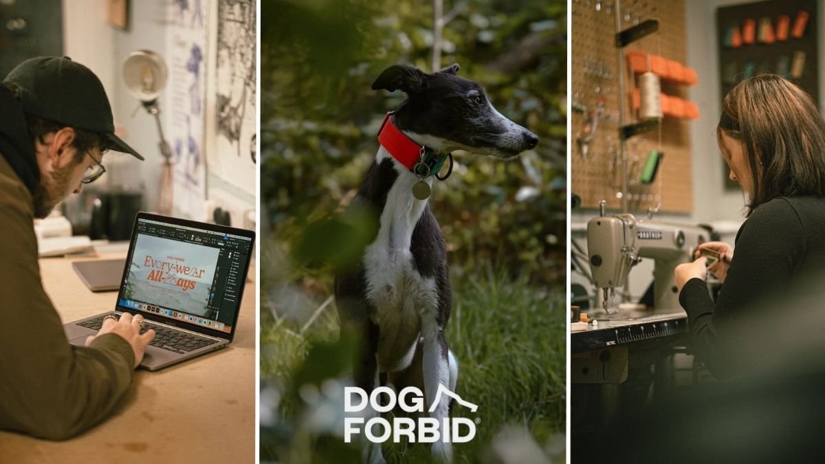 Dog Forbid Dog Accessory Manufacturers