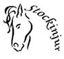 Stockinjur