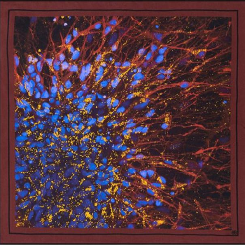 By Biology Silk Scarf
