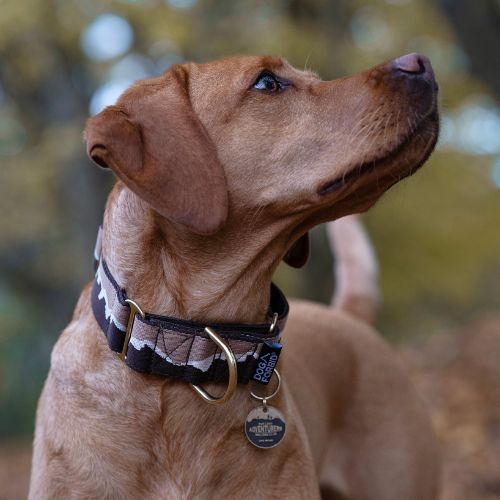 Dog Forbid Martingale Collar