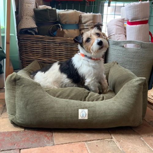 Hollibels Corduroy Dog Box Bed