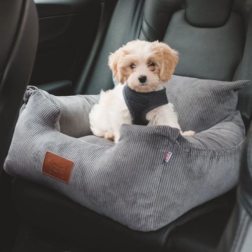 Where's Winnie Dog Car Seat